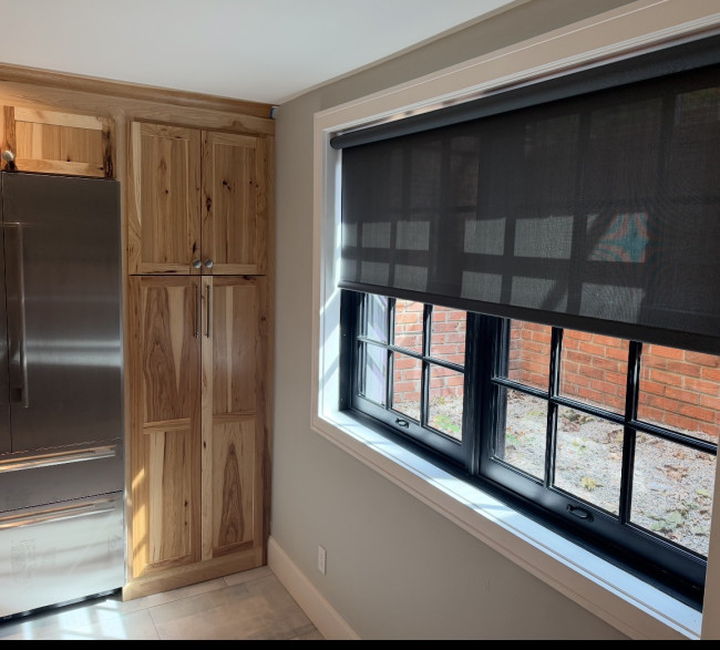 Lutron Window Shade